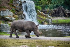 Tierras de Tanzania 2026