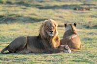 Safari de Lujo en el Norte de Botswana