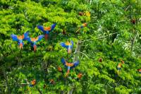 Andes y Amazonia 2026