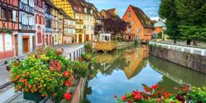 Selva negra para familias 